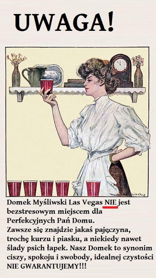 Domek Mysliwski Las Vegas Mierzyn  ภายนอก รูปภาพ